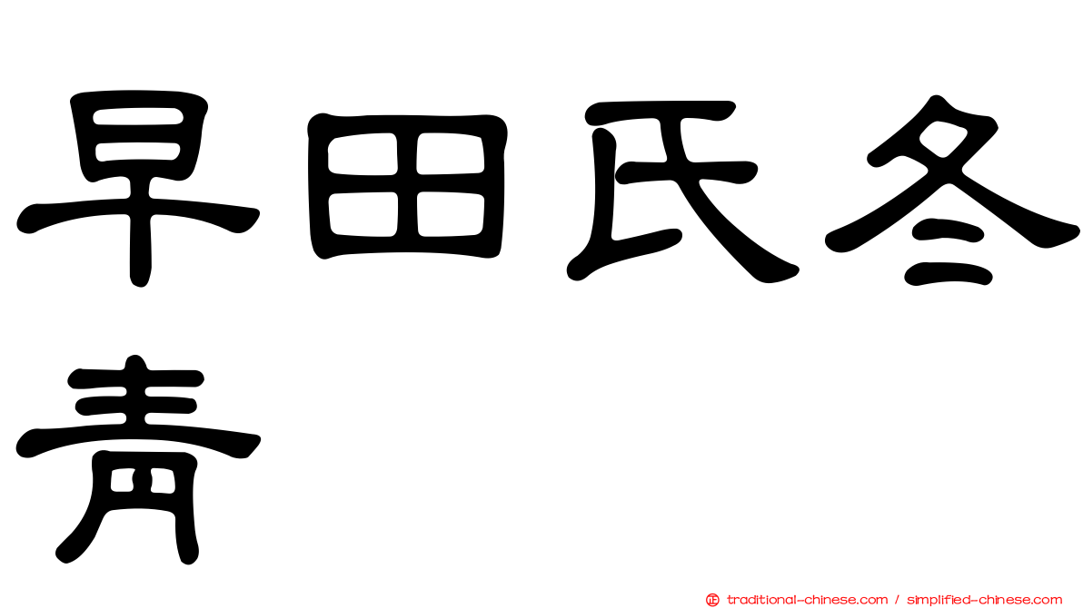 早田氏冬青