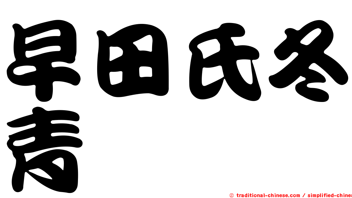 早田氏冬青