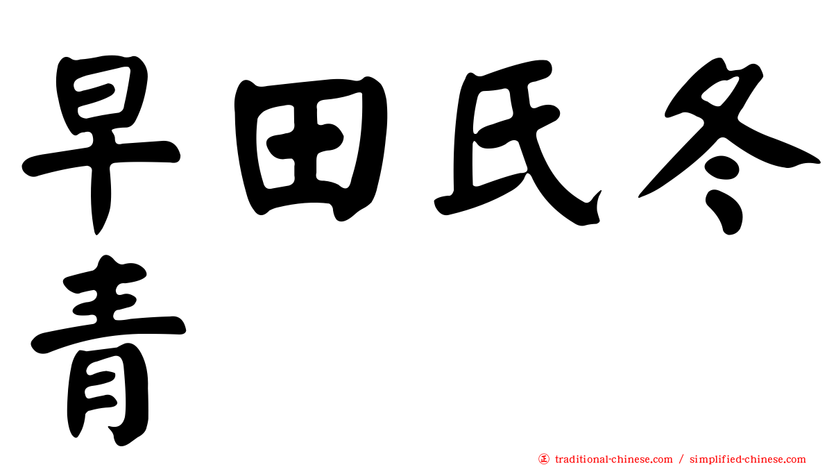 早田氏冬青