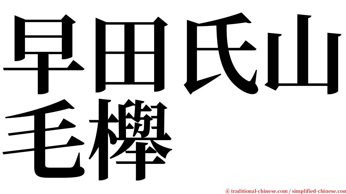 早田氏山毛櫸 serif font