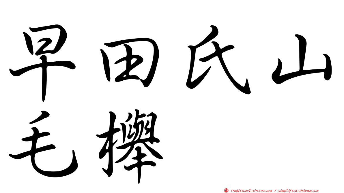 早田氏山毛櫸