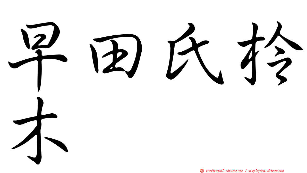 早田氏柃木