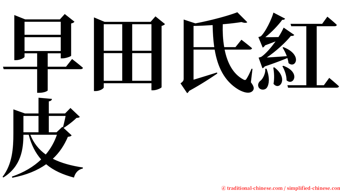 早田氏紅皮 serif font