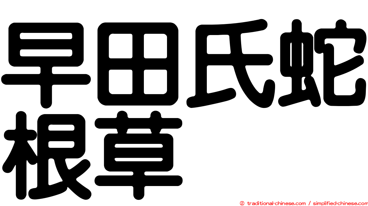 早田氏蛇根草