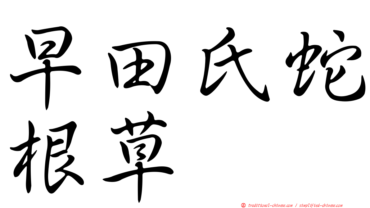 早田氏蛇根草