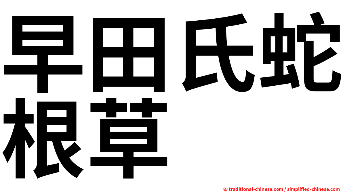 早田氏蛇根草