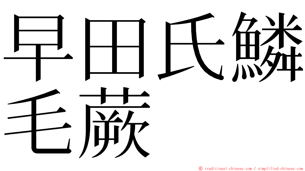 早田氏鱗毛蕨 ming font