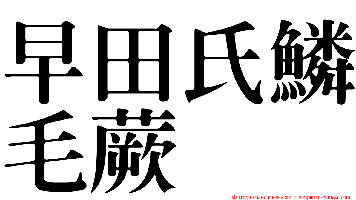 早田氏鱗毛蕨