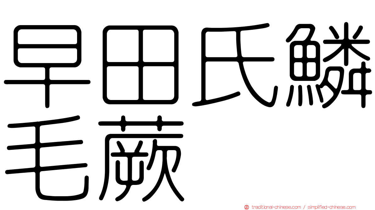 早田氏鱗毛蕨