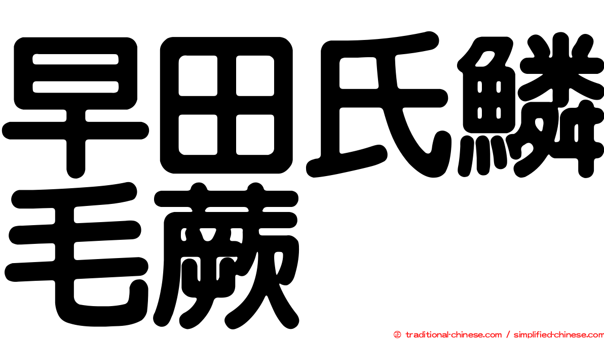 早田氏鱗毛蕨