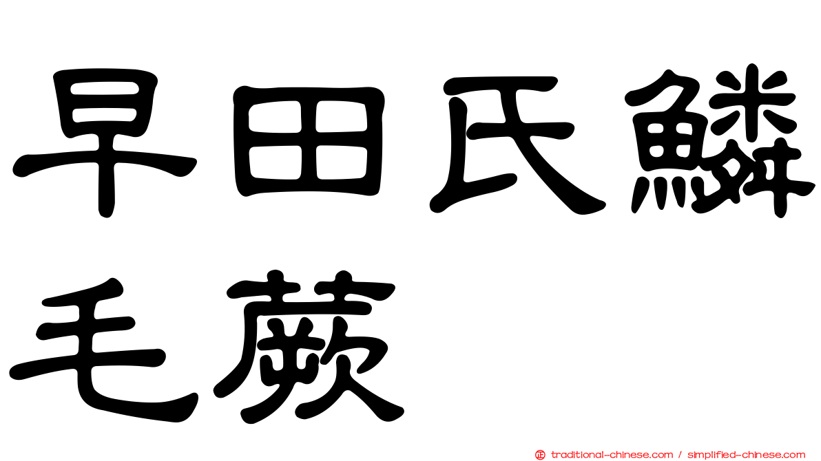 早田氏鱗毛蕨