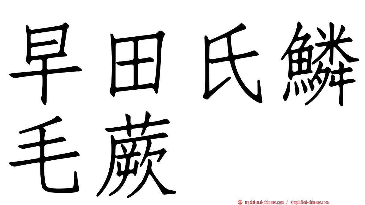 早田氏鱗毛蕨