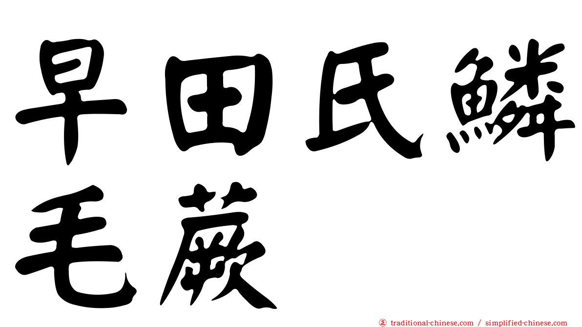 早田氏鱗毛蕨