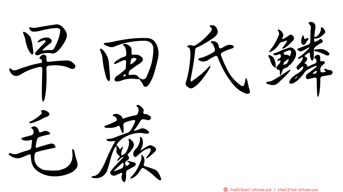 早田氏鱗毛蕨