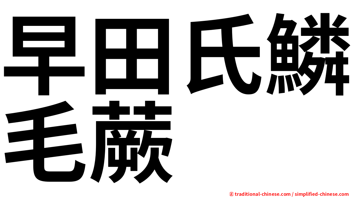 早田氏鱗毛蕨