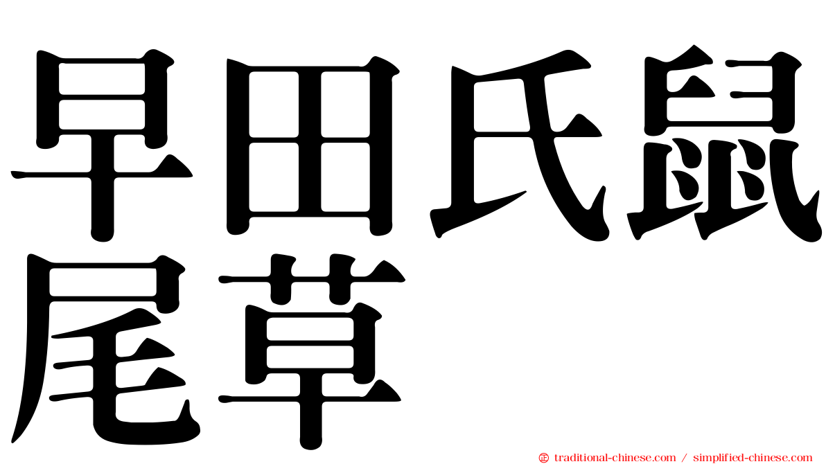 早田氏鼠尾草