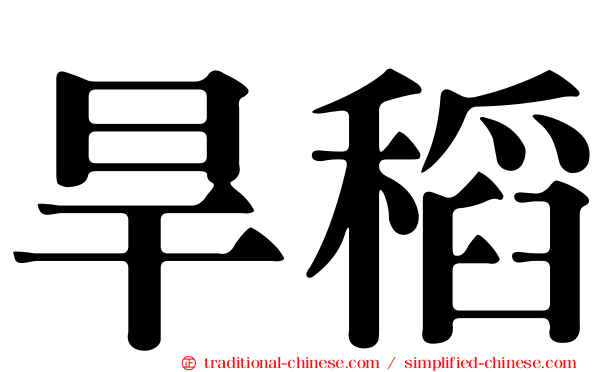 旱稻