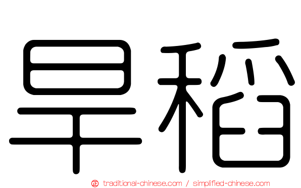 旱稻