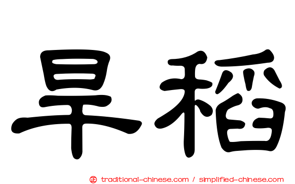 旱稻