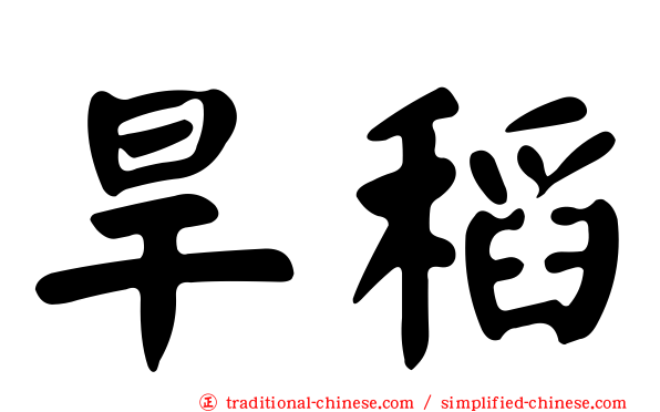 旱稻