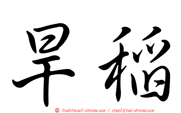 旱稻