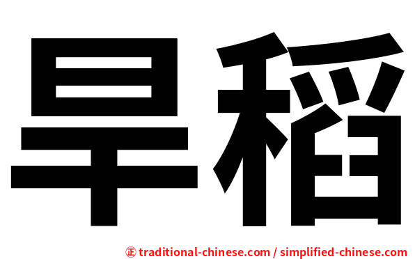 旱稻