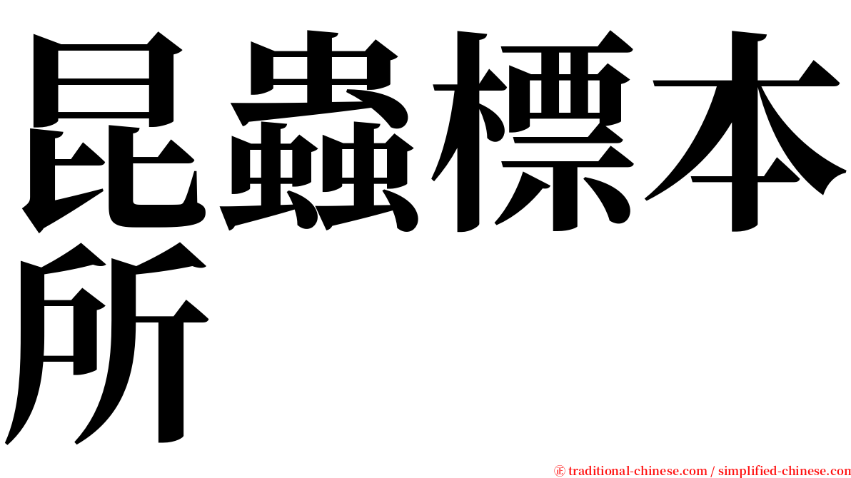 昆蟲標本所 serif font