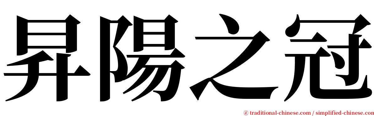 昇陽之冠 serif font