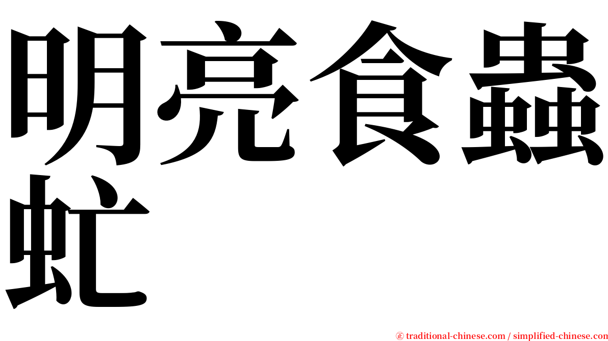 明亮食蟲虻 serif font