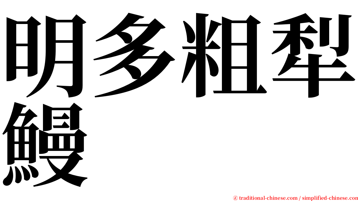 明多粗犁鰻 serif font