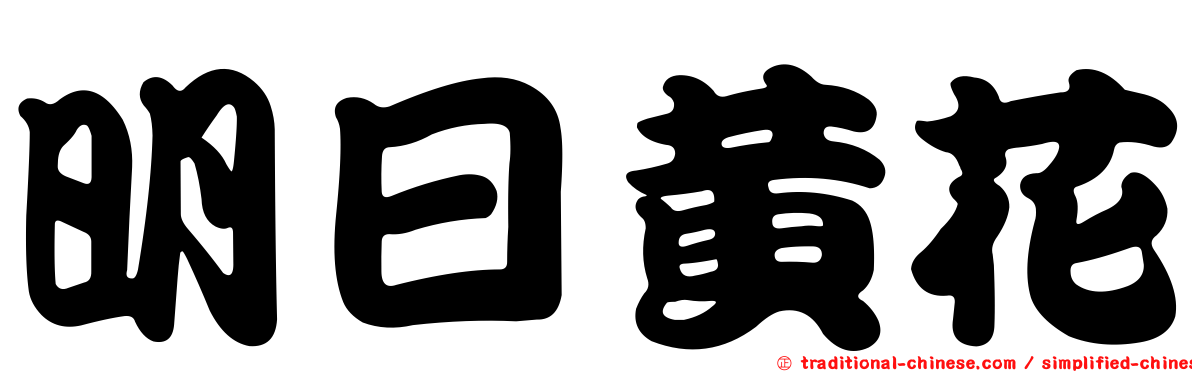 明日黃花