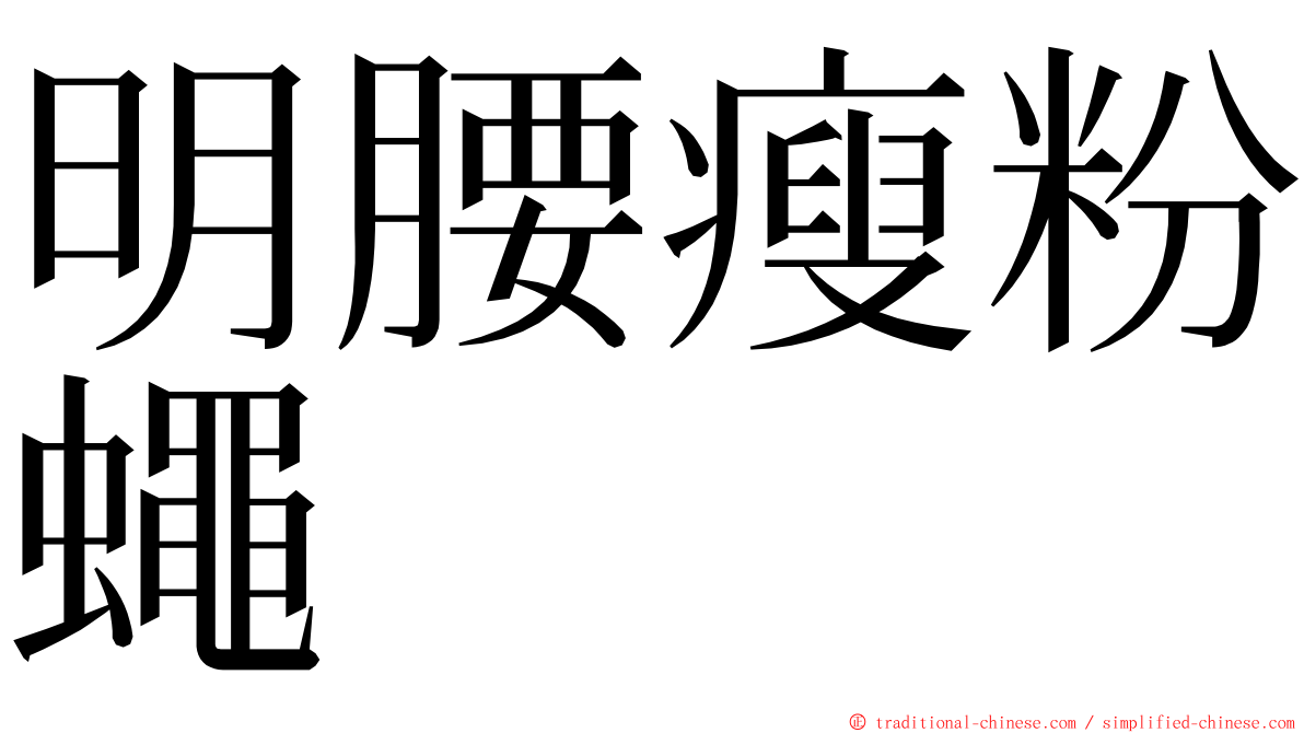 明腰瘦粉蠅 ming font