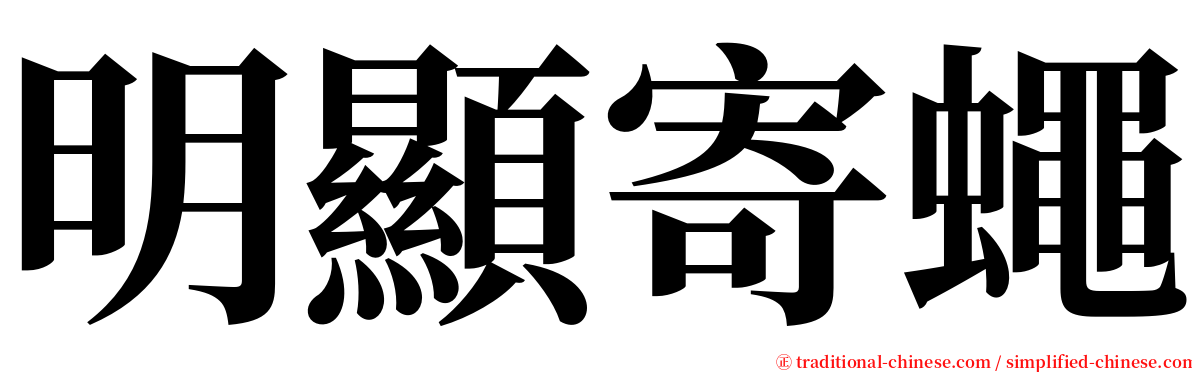 明顯寄蠅 serif font