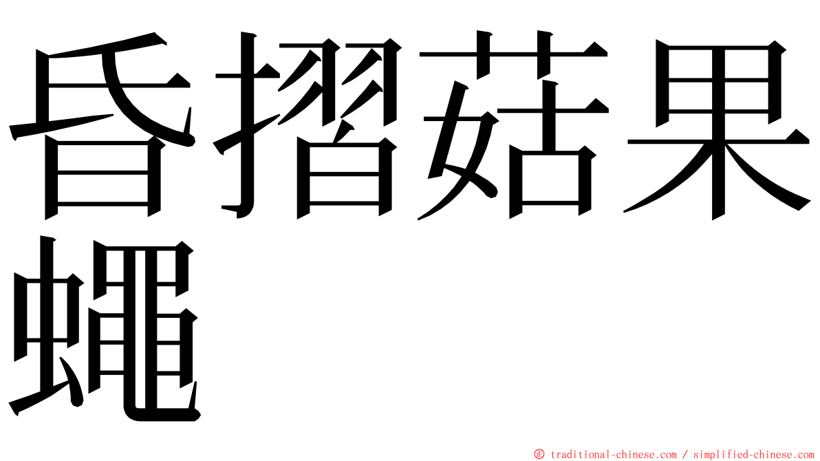 昏摺菇果蠅 ming font