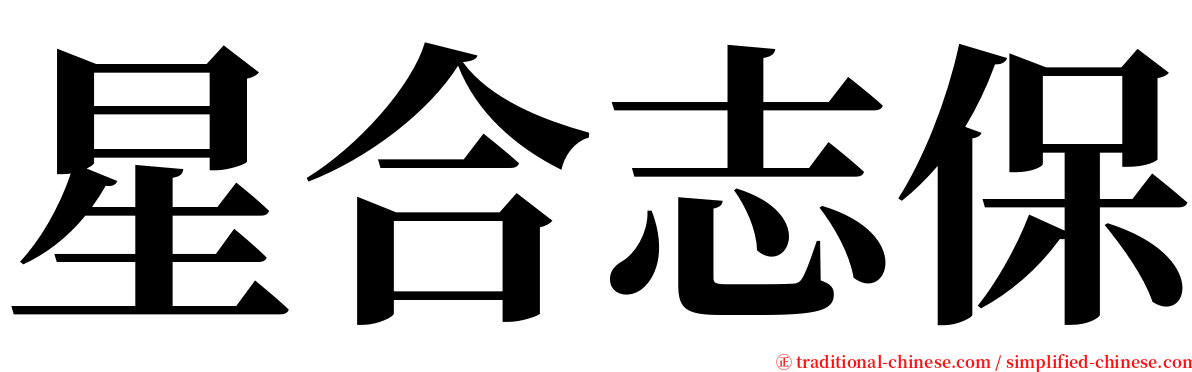 星合志保 serif font