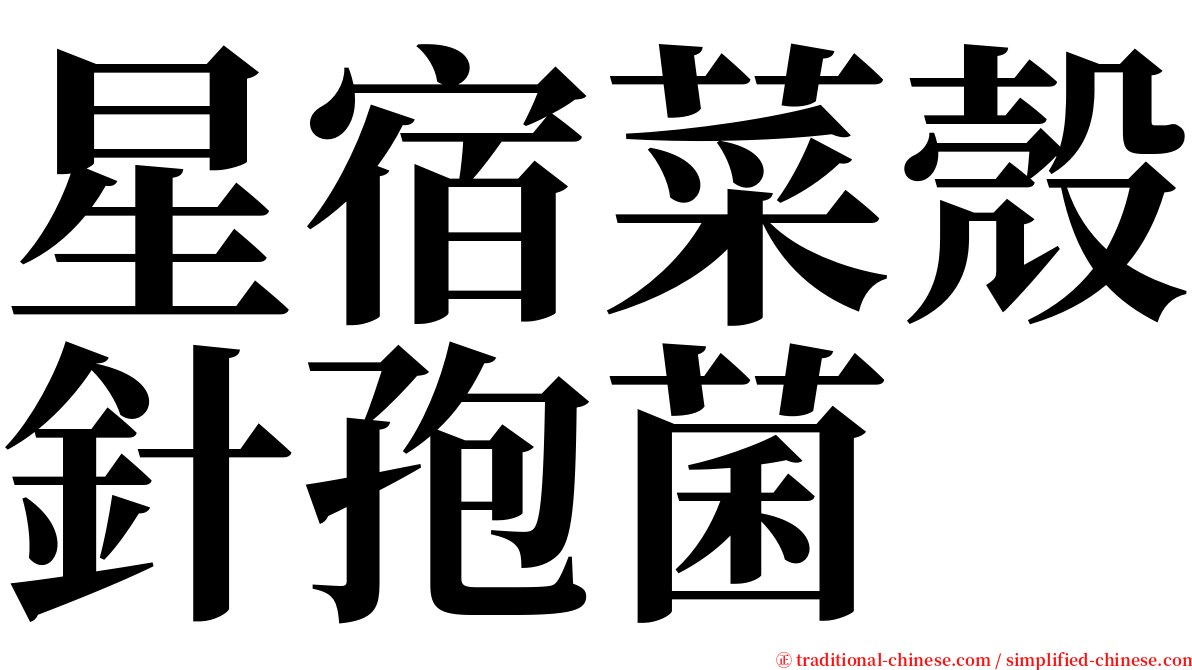 星宿菜殼針孢菌 serif font