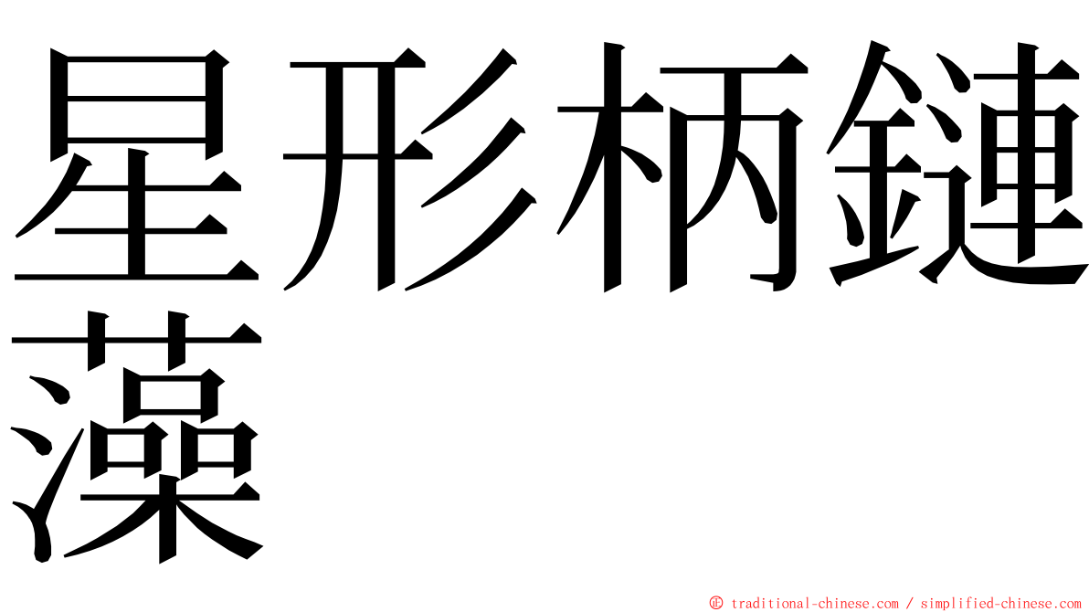 星形柄鏈藻 ming font