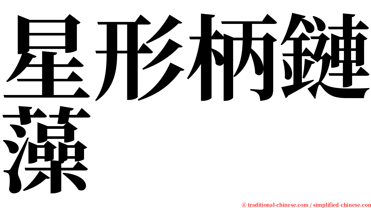 星形柄鏈藻 serif font