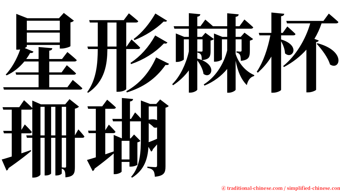 星形棘杯珊瑚 serif font