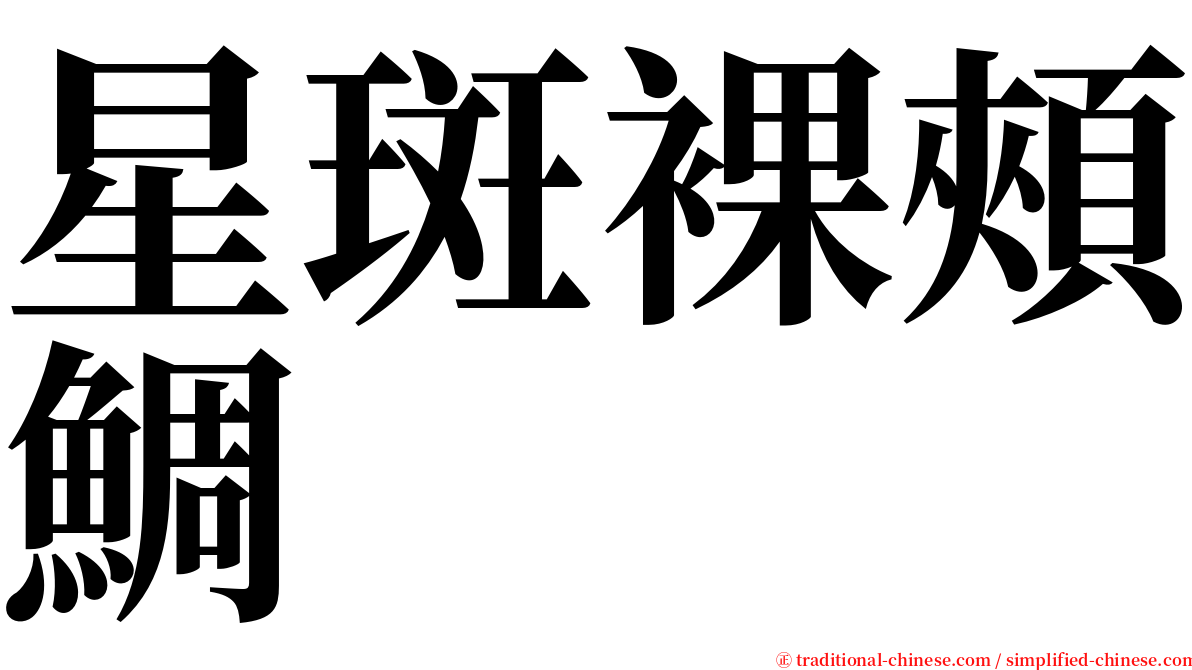 星斑裸頰鯛 serif font