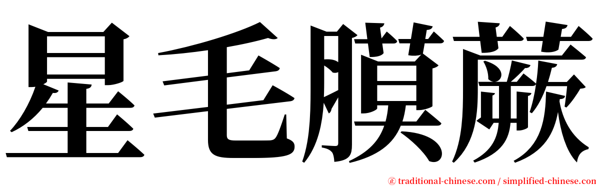 星毛膜蕨 serif font