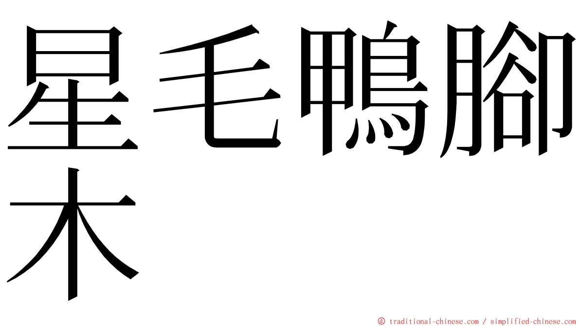 星毛鴨腳木 ming font