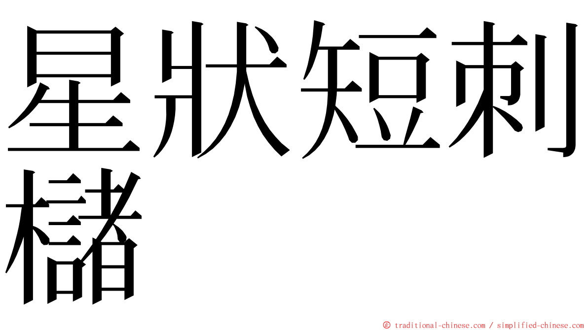 星狀短刺櫧 ming font