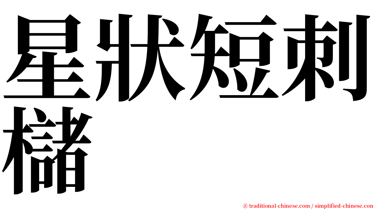 星狀短刺櫧 serif font