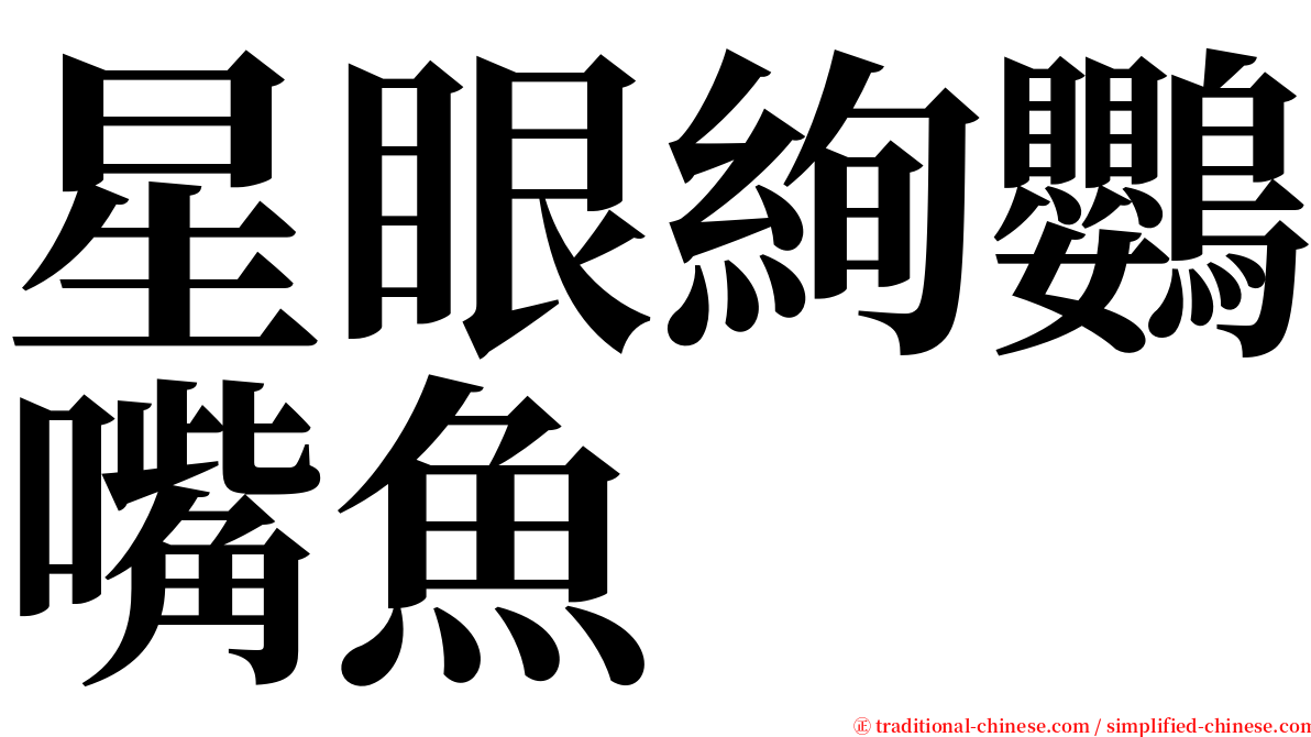 星眼絢鸚嘴魚 serif font