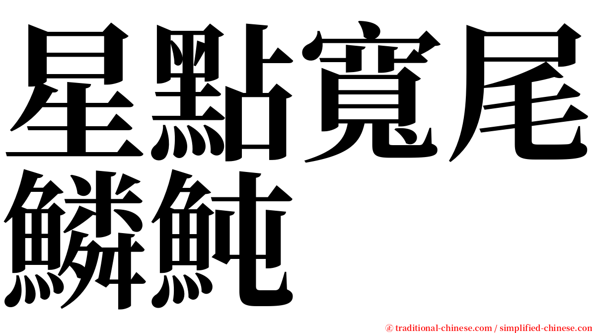 星點寬尾鱗魨 serif font