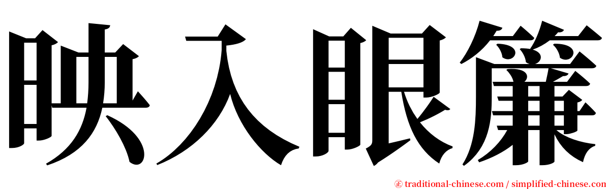 映入眼簾 serif font