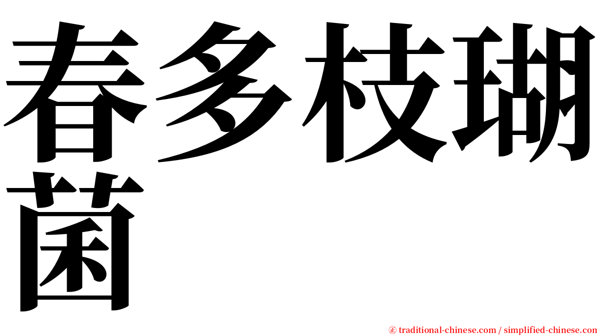 春多枝瑚菌 serif font