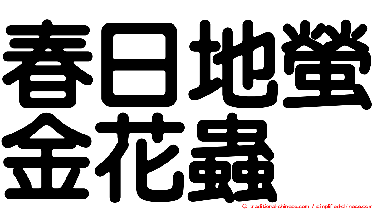 春日地螢金花蟲