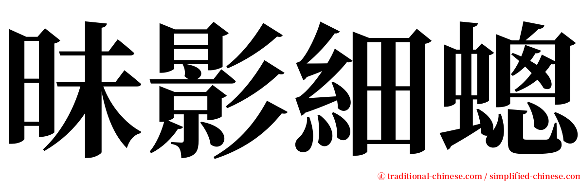 昧影細蟌 serif font